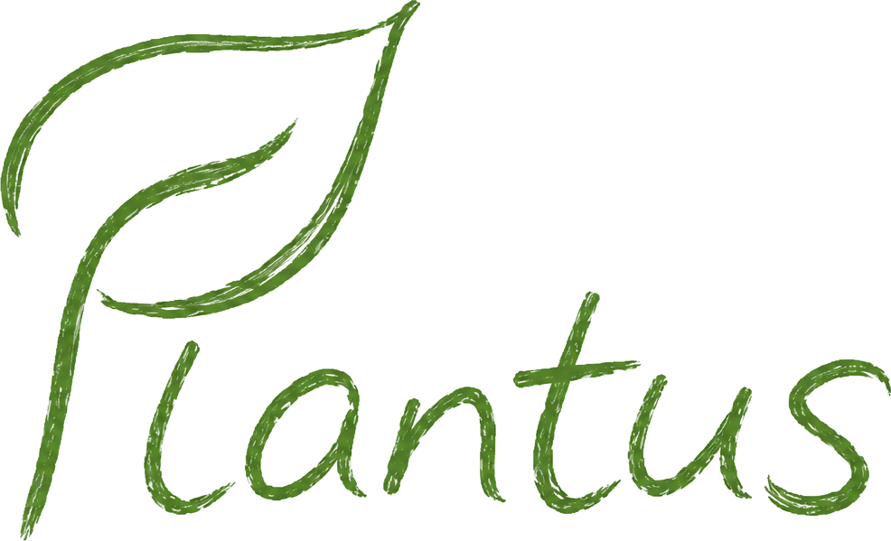 Plantus